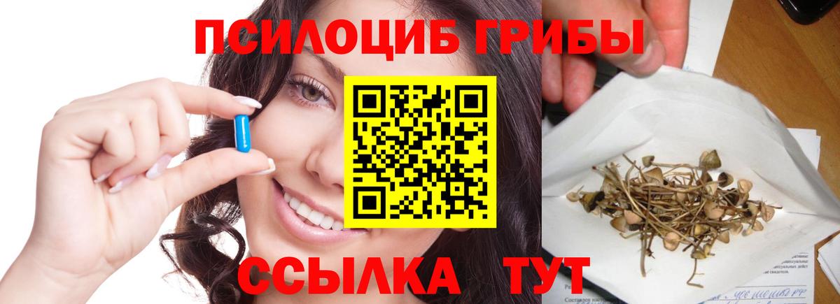 Мурино  Галлюциногенные грибы мухоморы  Вход с VPN 